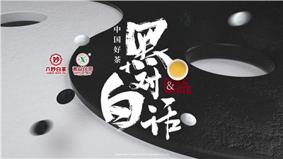 首屆黑白對(duì)話高峰論壇圓滿落幕！湘益茯茶備受關(guān)注！